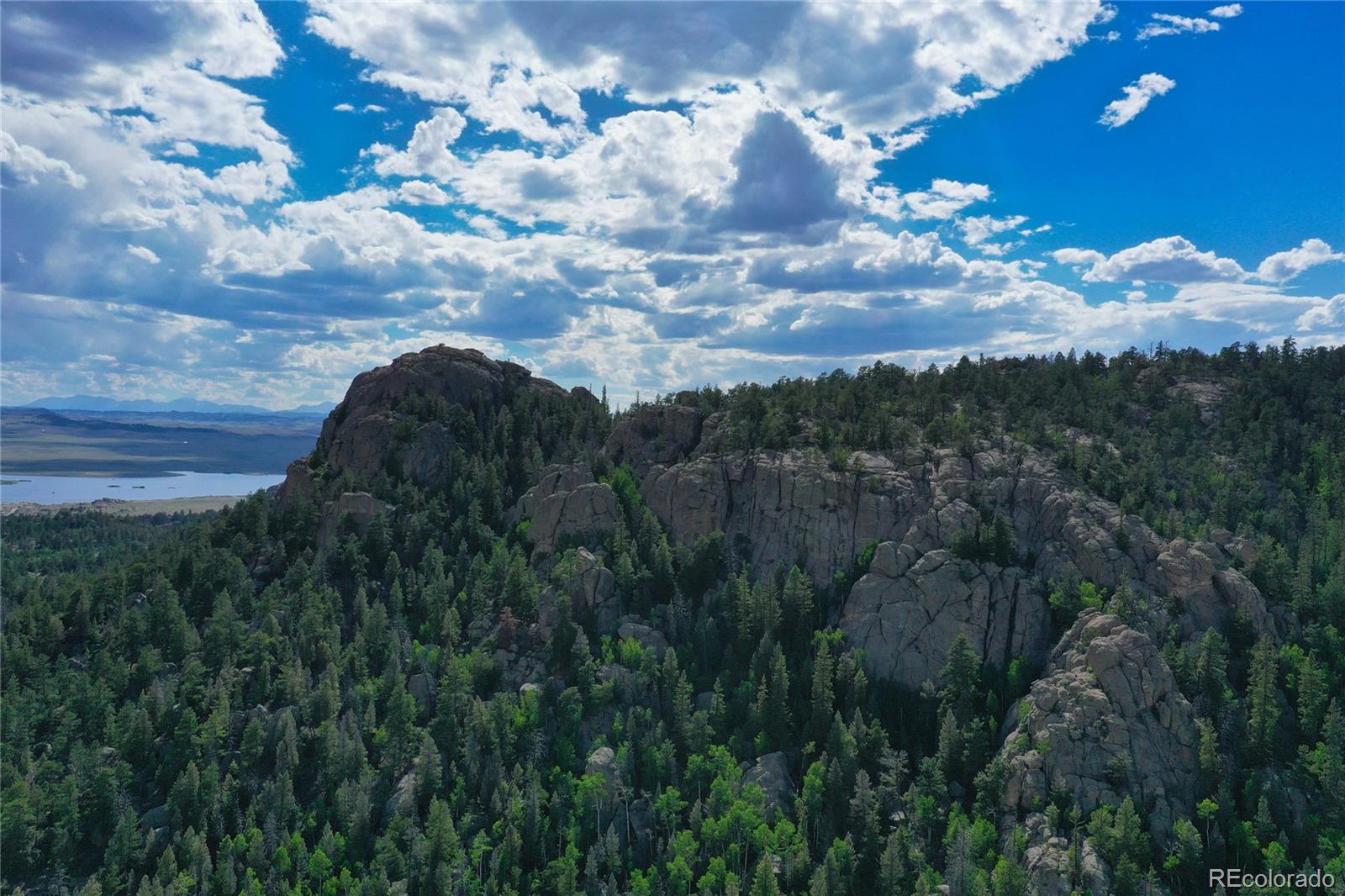 35 Cree Path, Lake George, CO 80827, 2 Bedrooms Bedrooms, ,2 BathroomsBathrooms,Residential,For Sale,Cree,REC3477630