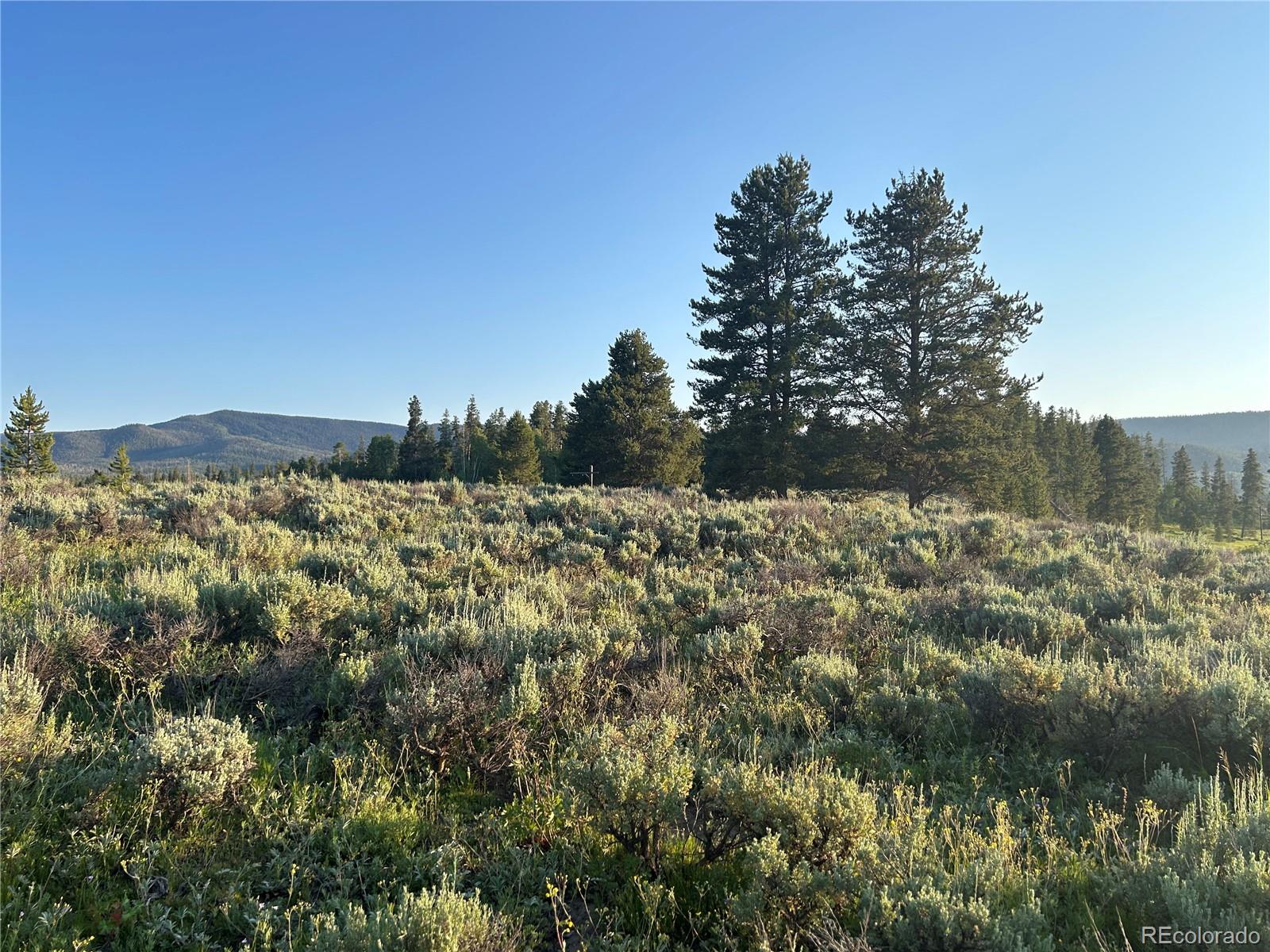 20965 Hoch-Eye Way, Oak Creek, CO 80467, ,Land,For Sale,Hoch-Eye,REC4501996