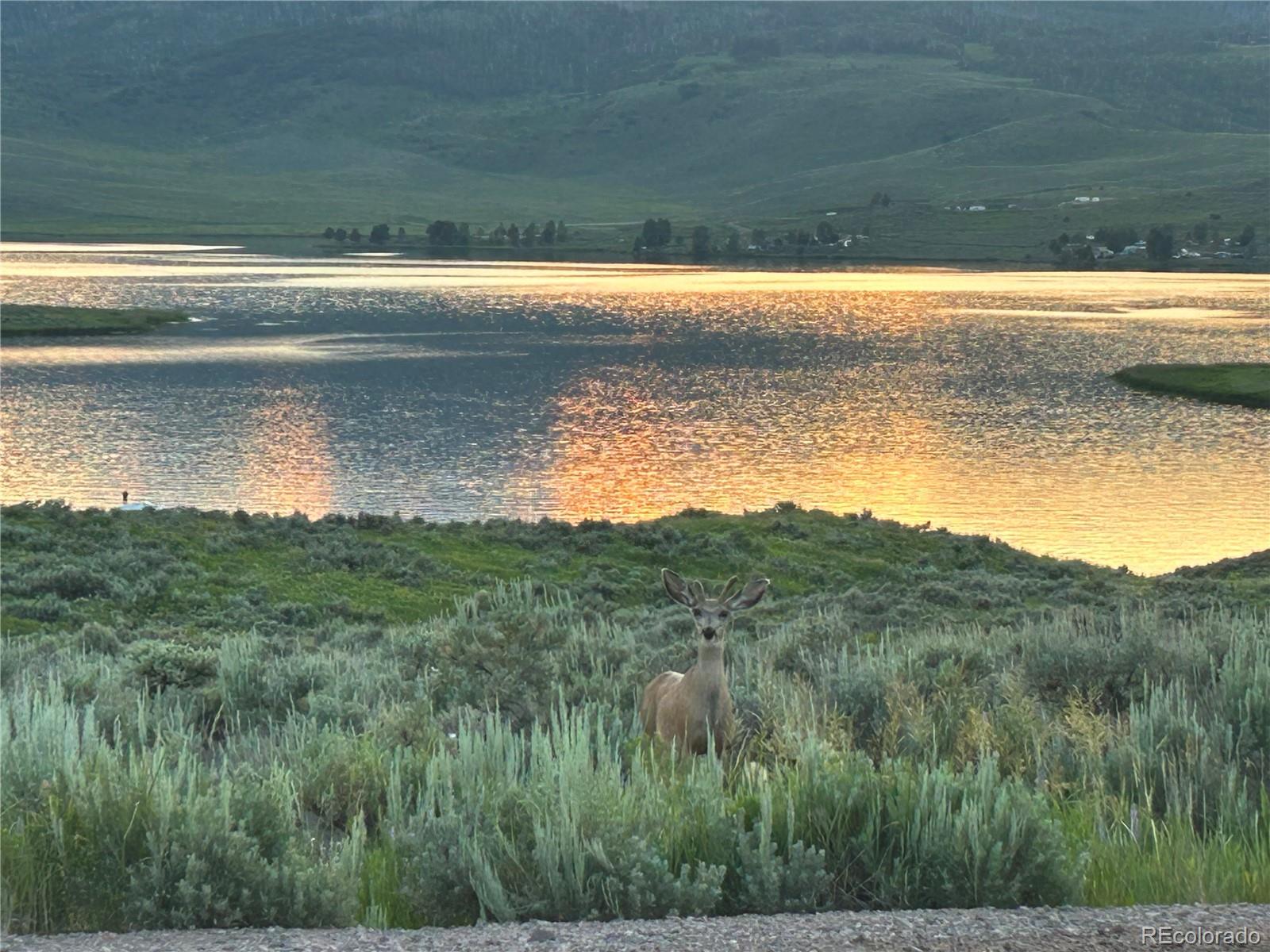 20965 Hoch-Eye Way, Oak Creek, CO 80467, ,Land,For Sale,Hoch-Eye,REC4501996