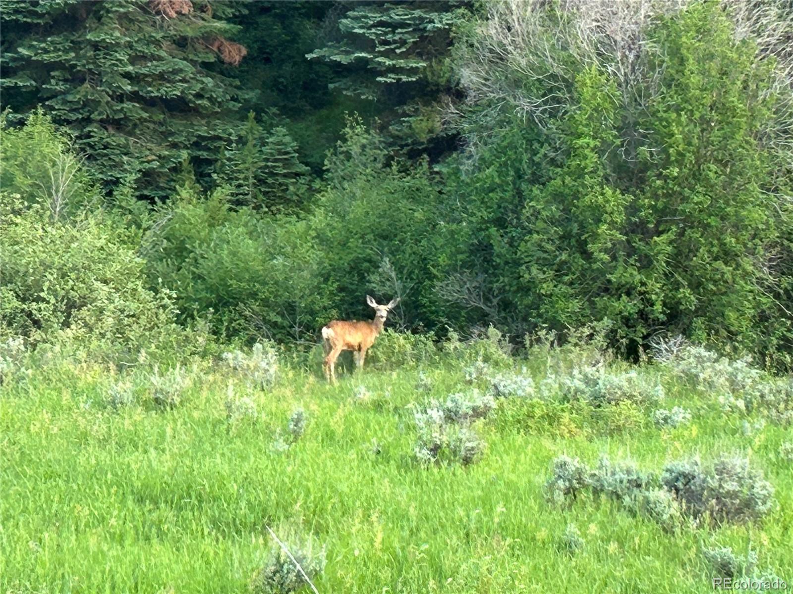 20965 Hoch-Eye Way, Oak Creek, CO 80467, ,Land,For Sale,Hoch-Eye,REC4501996