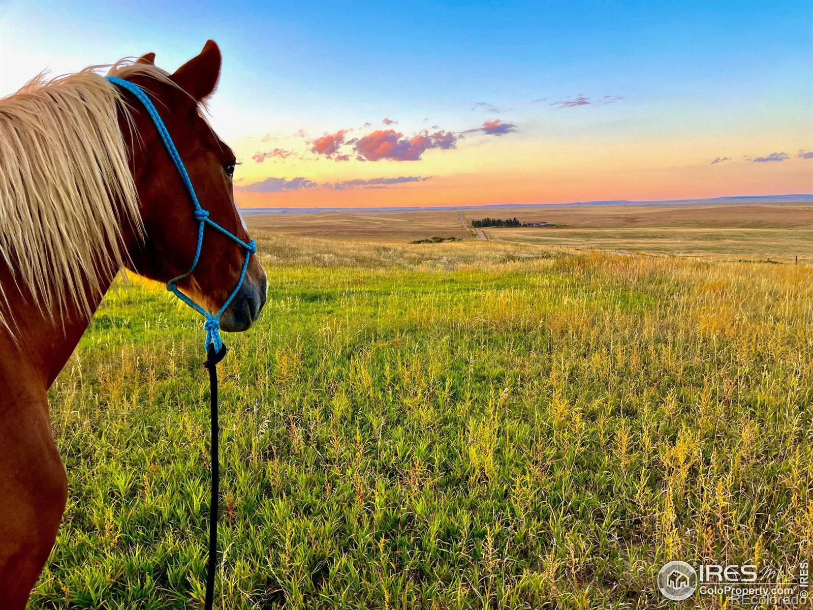 58114 County Road 15, Carr, CO 80612, 2 Bedrooms Bedrooms, ,2 BathroomsBathrooms,Residential,For Sale,County Road 15,RECIR1014366