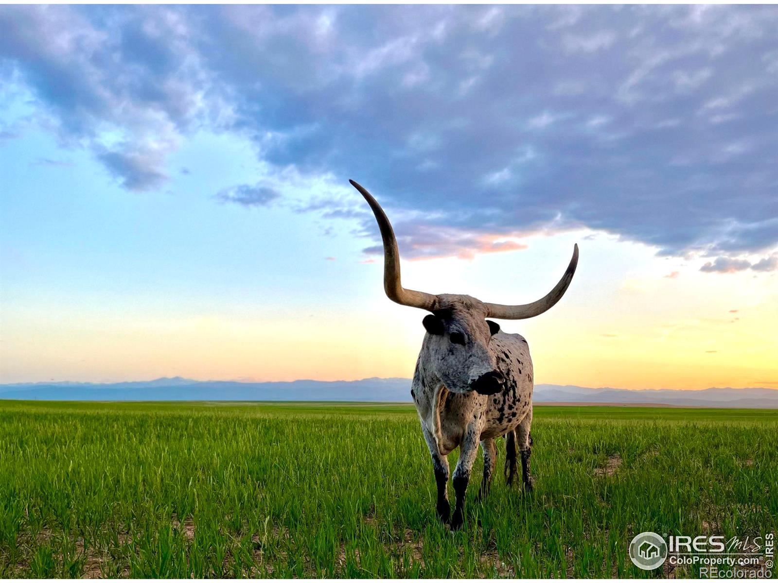 58114 County Road 15, Carr, CO 80612, 2 Bedrooms Bedrooms, ,2 BathroomsBathrooms,Residential,For Sale,County Road 15,RECIR1014366