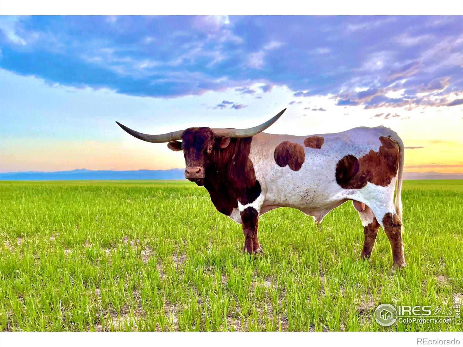 58114 County Road 15, Carr, CO 80612, 2 Bedrooms Bedrooms, ,2 BathroomsBathrooms,Residential,For Sale,County Road 15,RECIR1014366