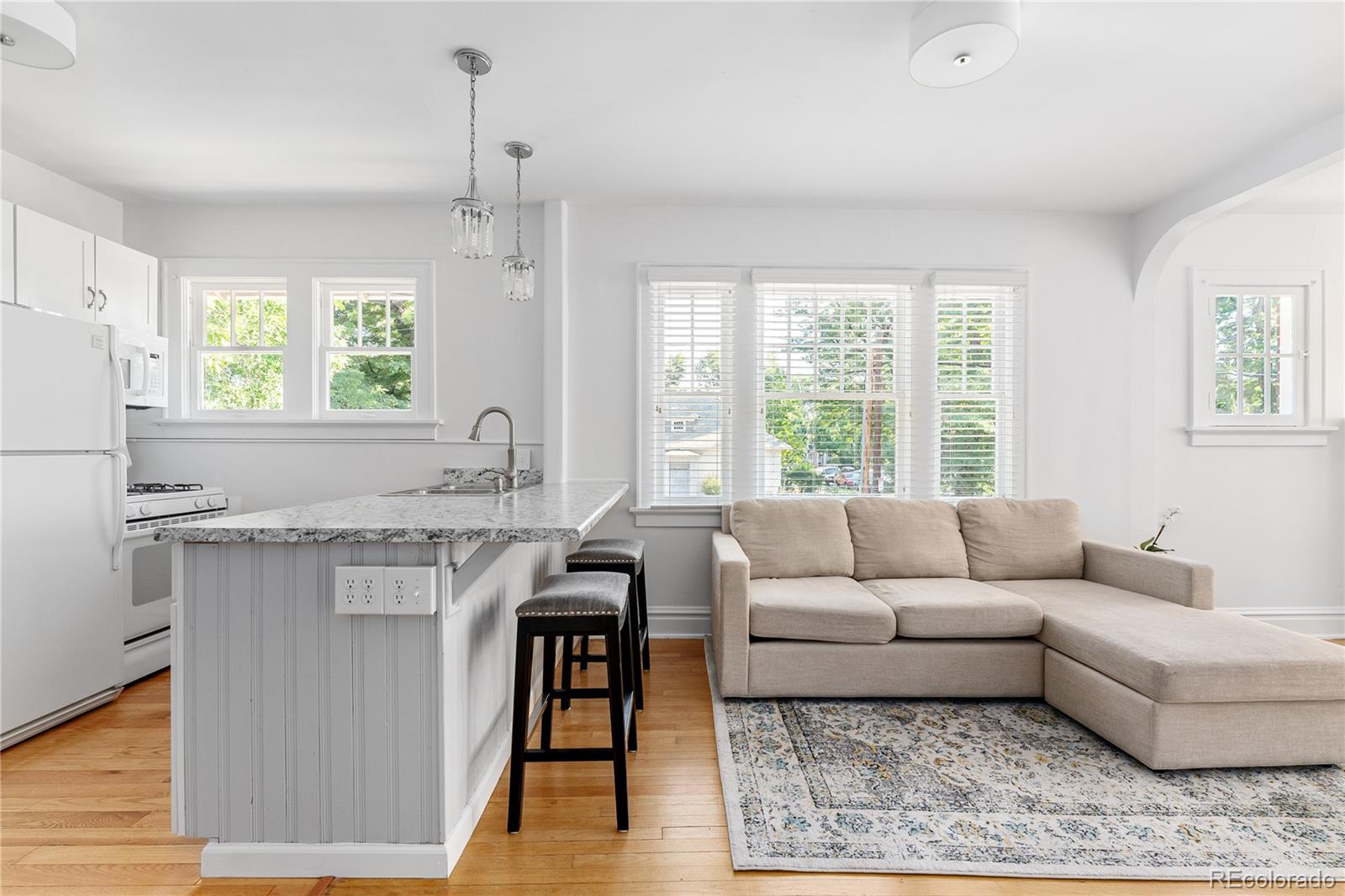 1705 & 1709 Ogden Street, Denver, CO 80210, 5 Bedrooms Bedrooms, ,2 BathroomsBathrooms,Residential,For Sale,Ogden,REC9885405