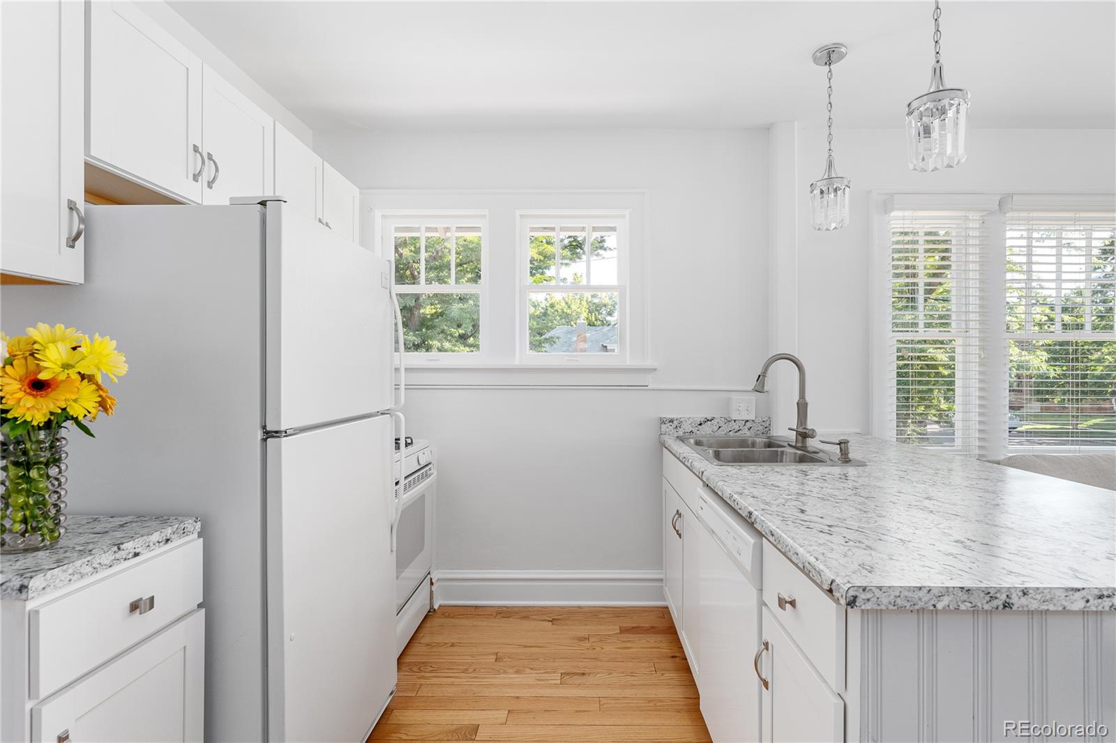 1705 & 1709 Ogden Street, Denver, CO 80210, 5 Bedrooms Bedrooms, ,2 BathroomsBathrooms,Residential,For Sale,Ogden,REC9885405