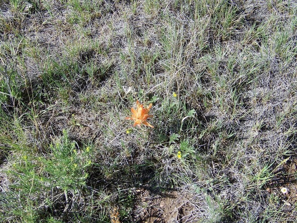 1327 Michigan Hill Road, Jefferson, CO 80456, ,Land,For Sale,Michigan Hill,REC1872510