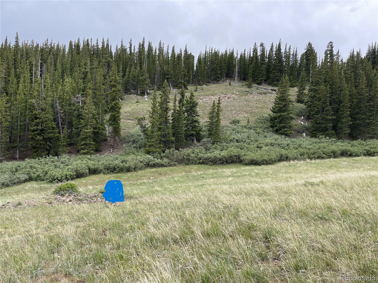 FOREST ROAD 450, Alma, CO 80420, ,Land,For Sale,FOREST ROAD 450,REC2268943