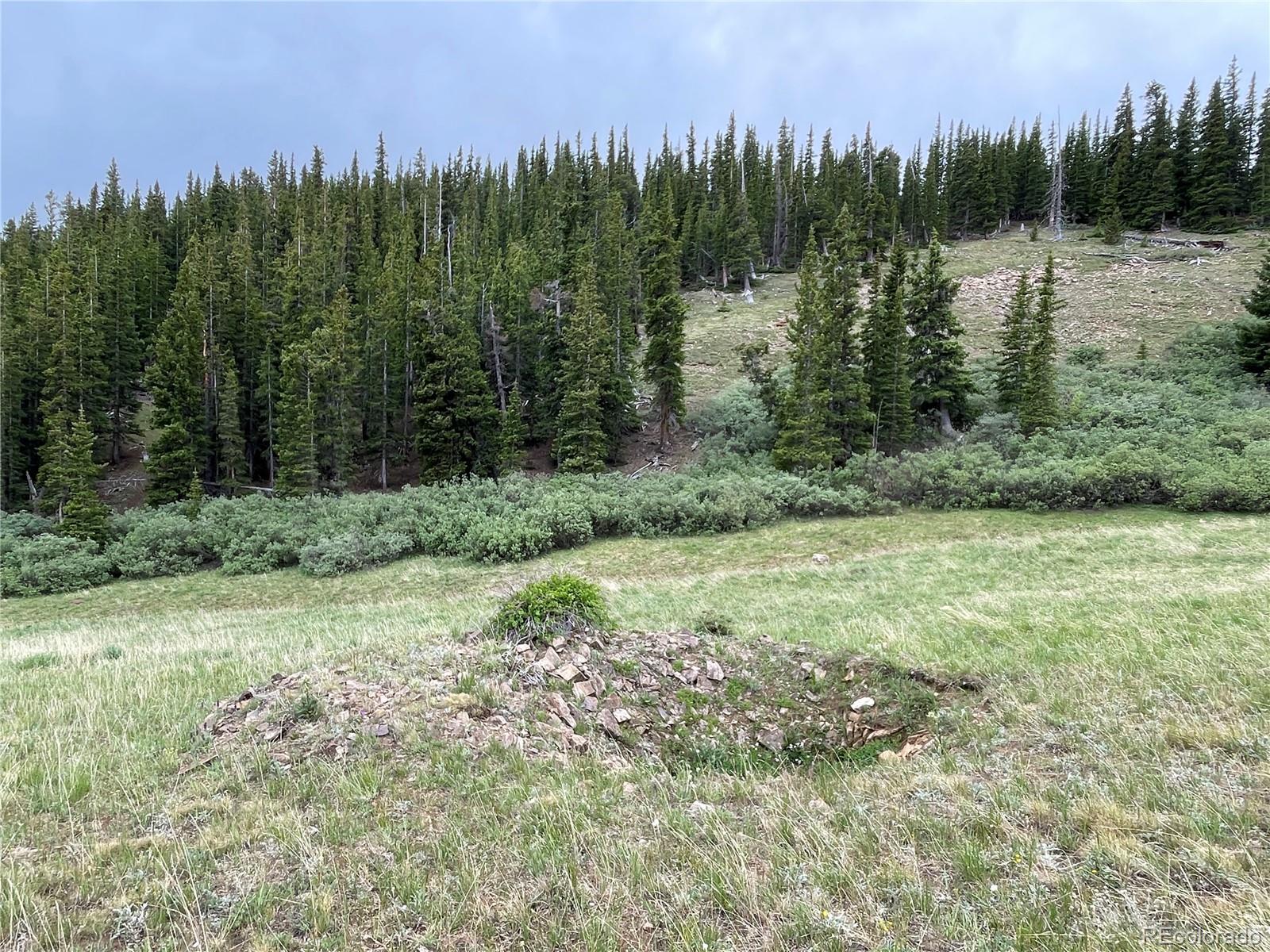 FOREST ROAD 450, Alma, CO 80420, ,Land,For Sale,FOREST ROAD 450,REC2268943