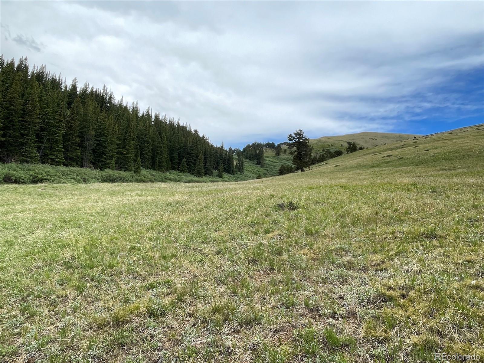 FOREST ROAD 450, Alma, CO 80420, ,Land,For Sale,FOREST ROAD 450,REC2268943