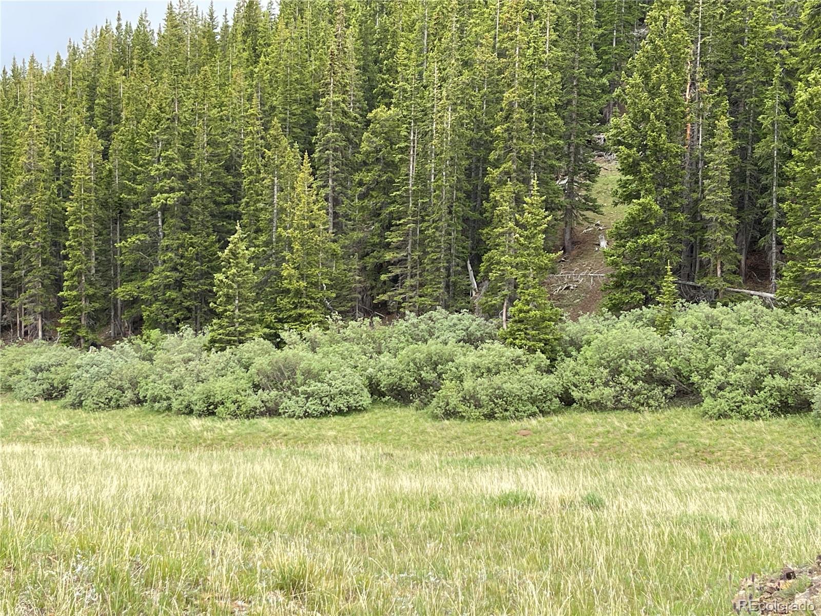 FOREST ROAD 450, Alma, CO 80420, ,Land,For Sale,FOREST ROAD 450,REC2268943