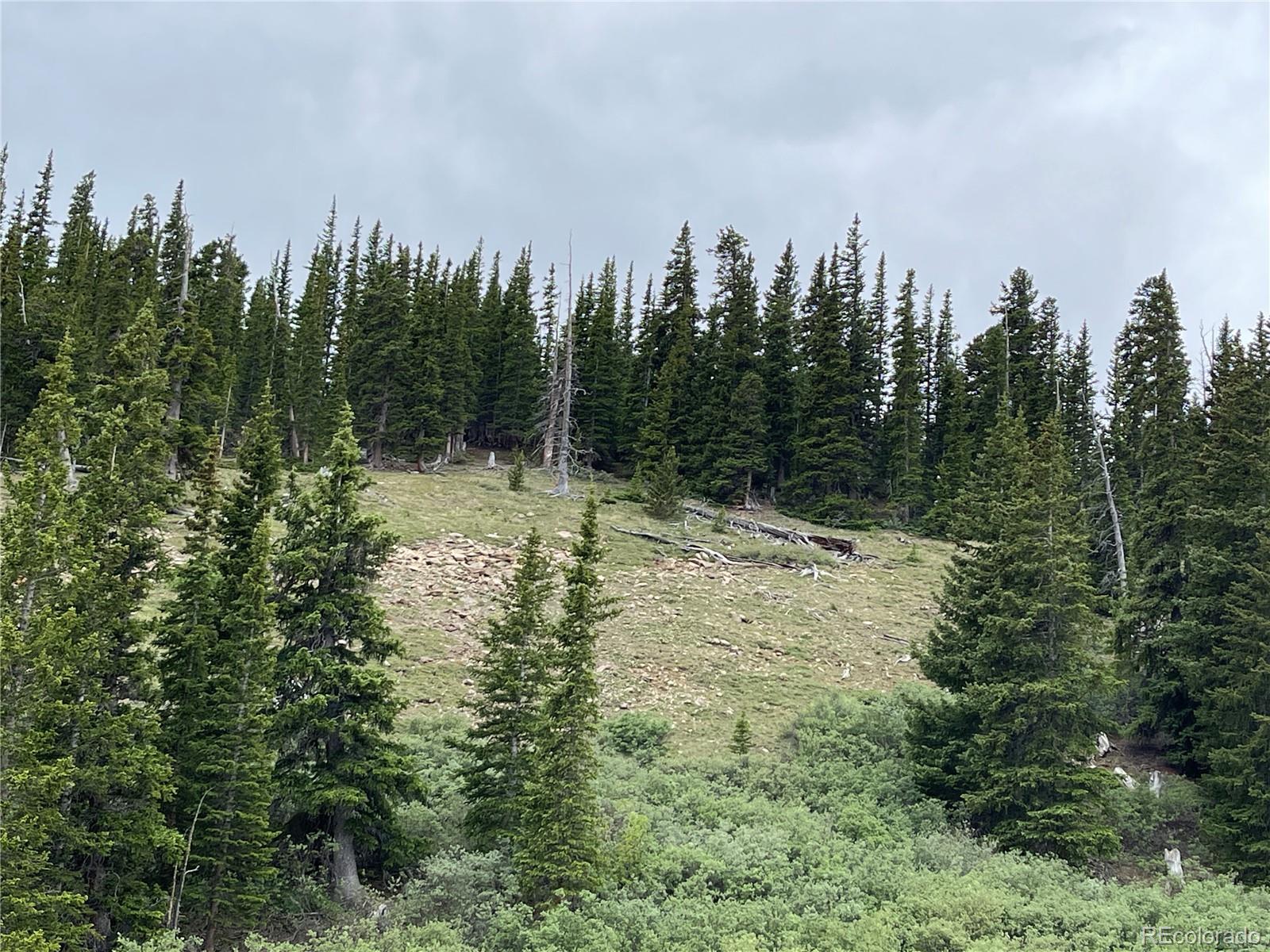 FOREST ROAD 450, Alma, CO 80420, ,Land,For Sale,FOREST ROAD 450,REC2268943