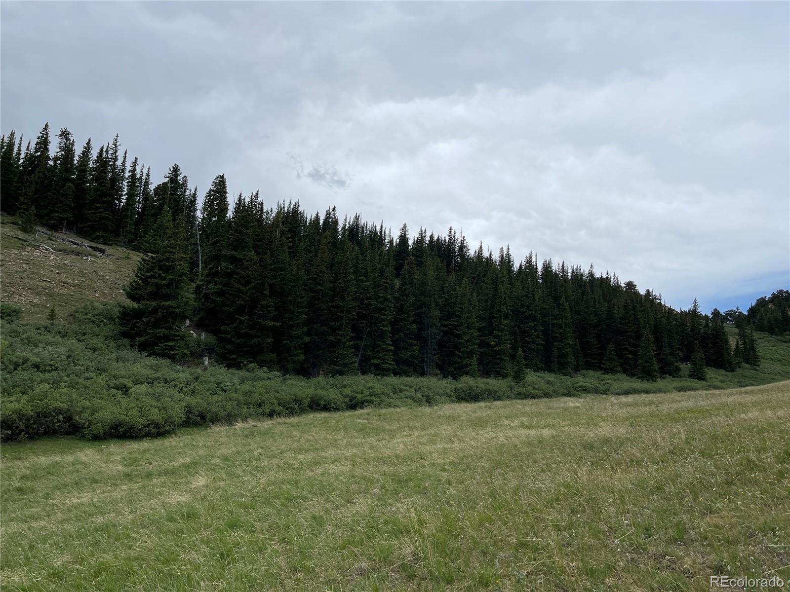 FOREST ROAD 450, Alma, CO 80420, ,Land,For Sale,FOREST ROAD 450,REC2268943