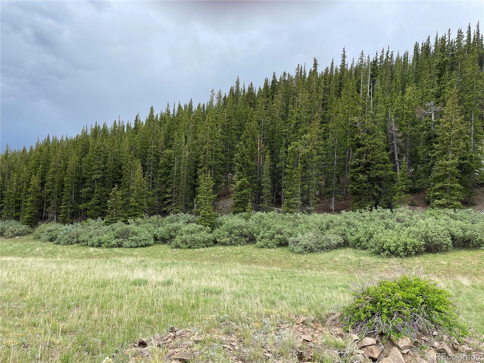 FOREST ROAD 450, Alma, CO 80420, ,Land,For Sale,FOREST ROAD 450,REC2268943