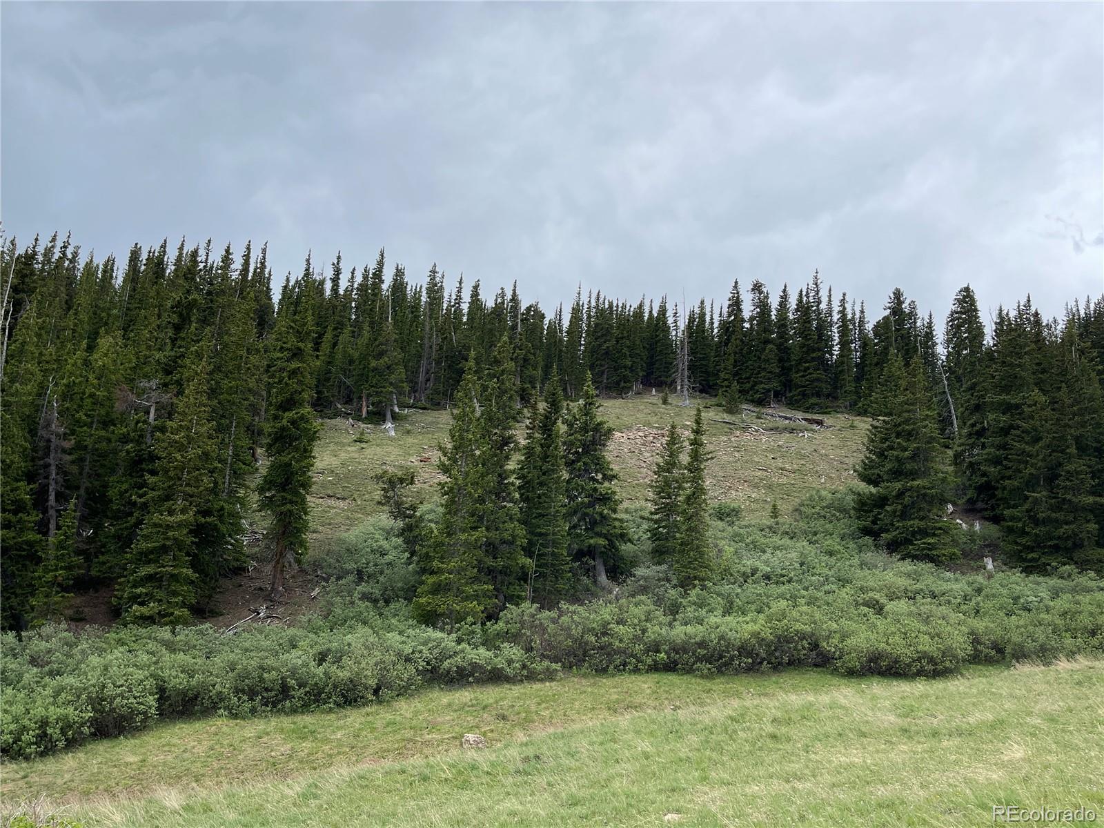 FOREST ROAD 450, Alma, CO 80420, ,Land,For Sale,FOREST ROAD 450,REC2268943