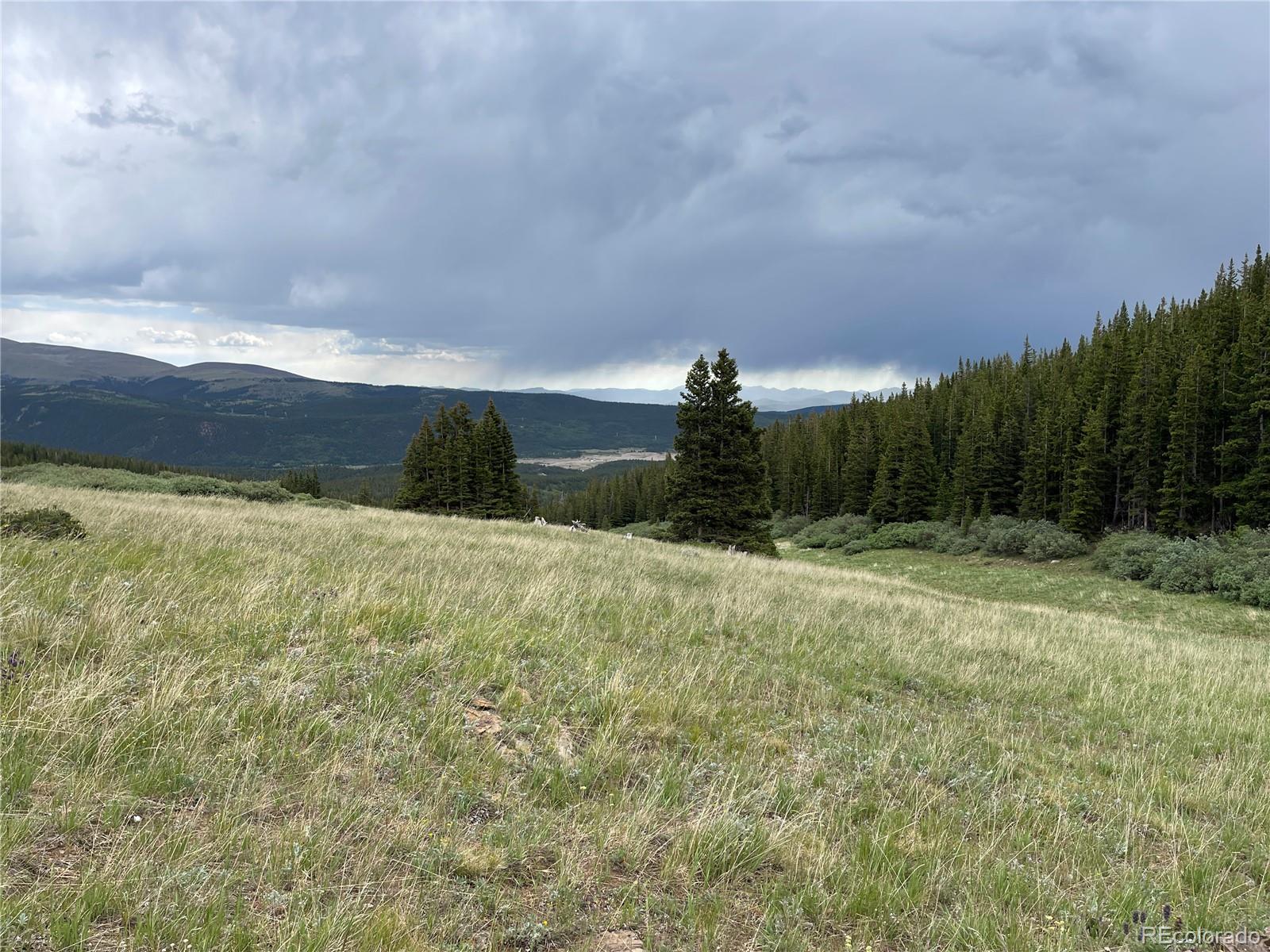 FOREST ROAD 450, Alma, CO 80420, ,Land,For Sale,FOREST ROAD 450,REC2268943