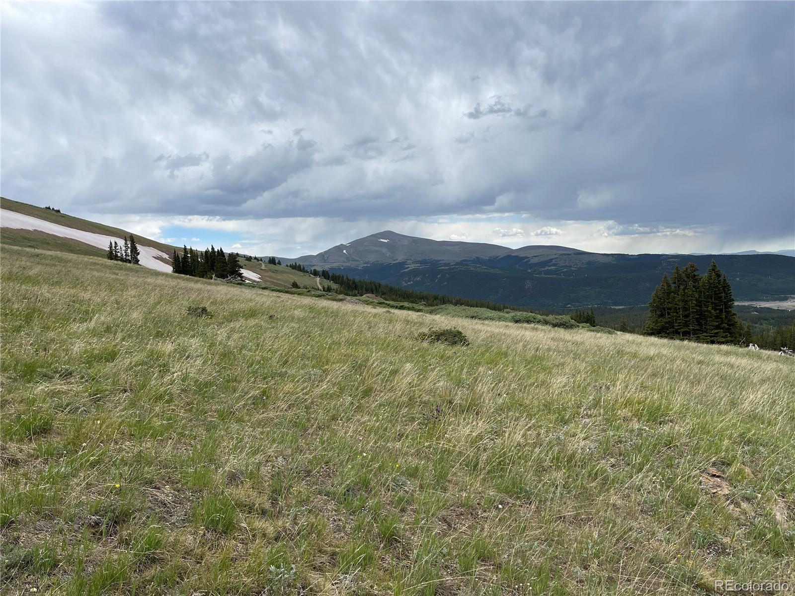 FOREST ROAD 450, Alma, CO 80420, ,Land,For Sale,FOREST ROAD 450,REC2268943