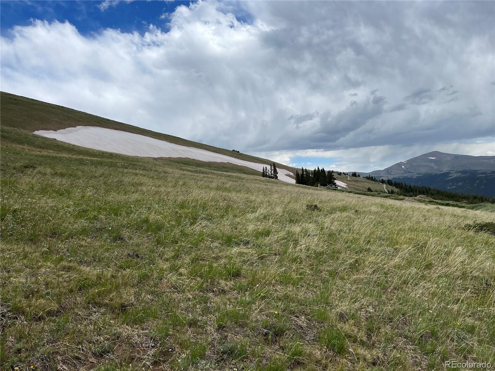 FOREST ROAD 450, Alma, CO 80420, ,Land,For Sale,FOREST ROAD 450,REC2268943