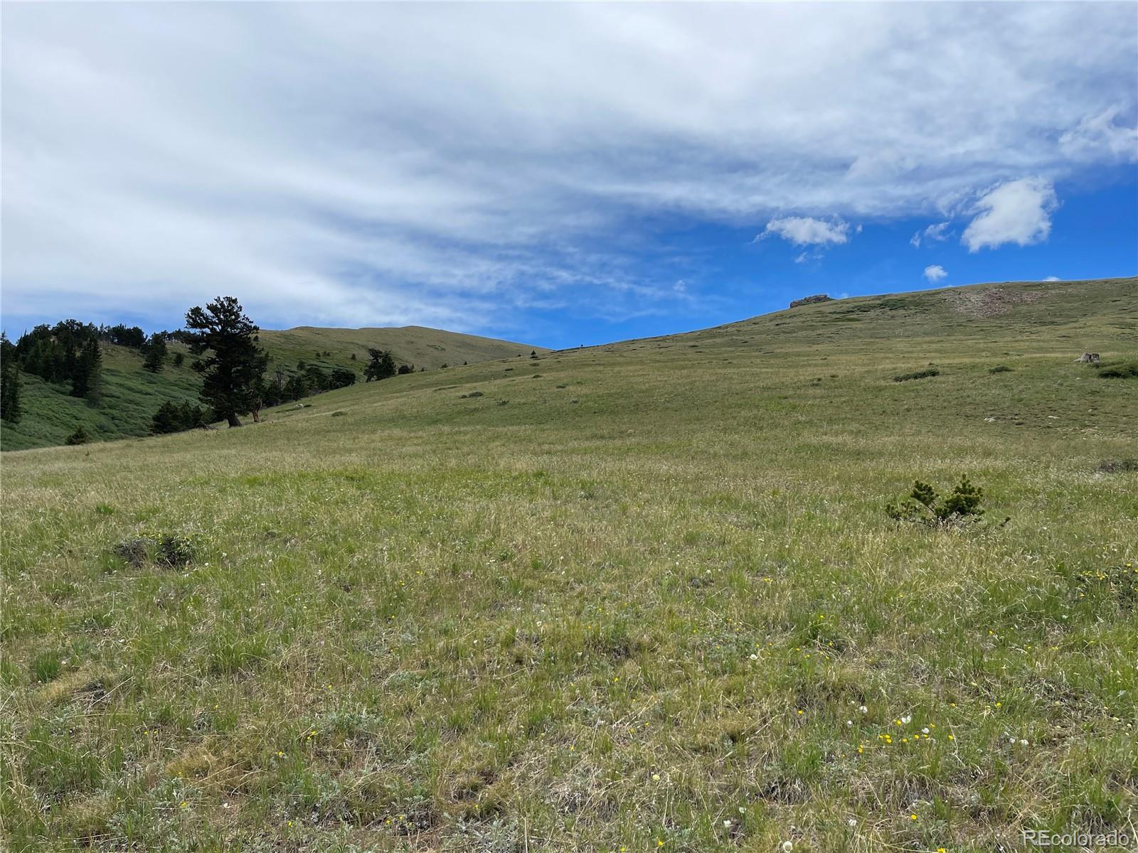FOREST ROAD 450, Alma, CO 80420, ,Land,For Sale,FOREST ROAD 450,REC2268943