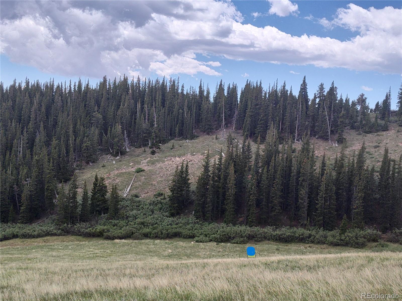 FOREST ROAD 450, Alma, CO 80420, ,Land,For Sale,FOREST ROAD 450,REC2268943