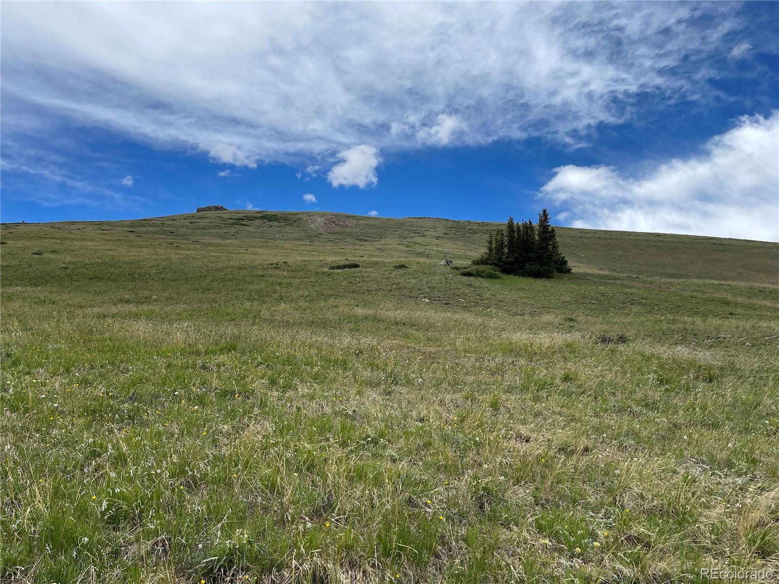 FOREST ROAD 450, Alma, CO 80420, ,Land,For Sale,FOREST ROAD 450,REC2268943