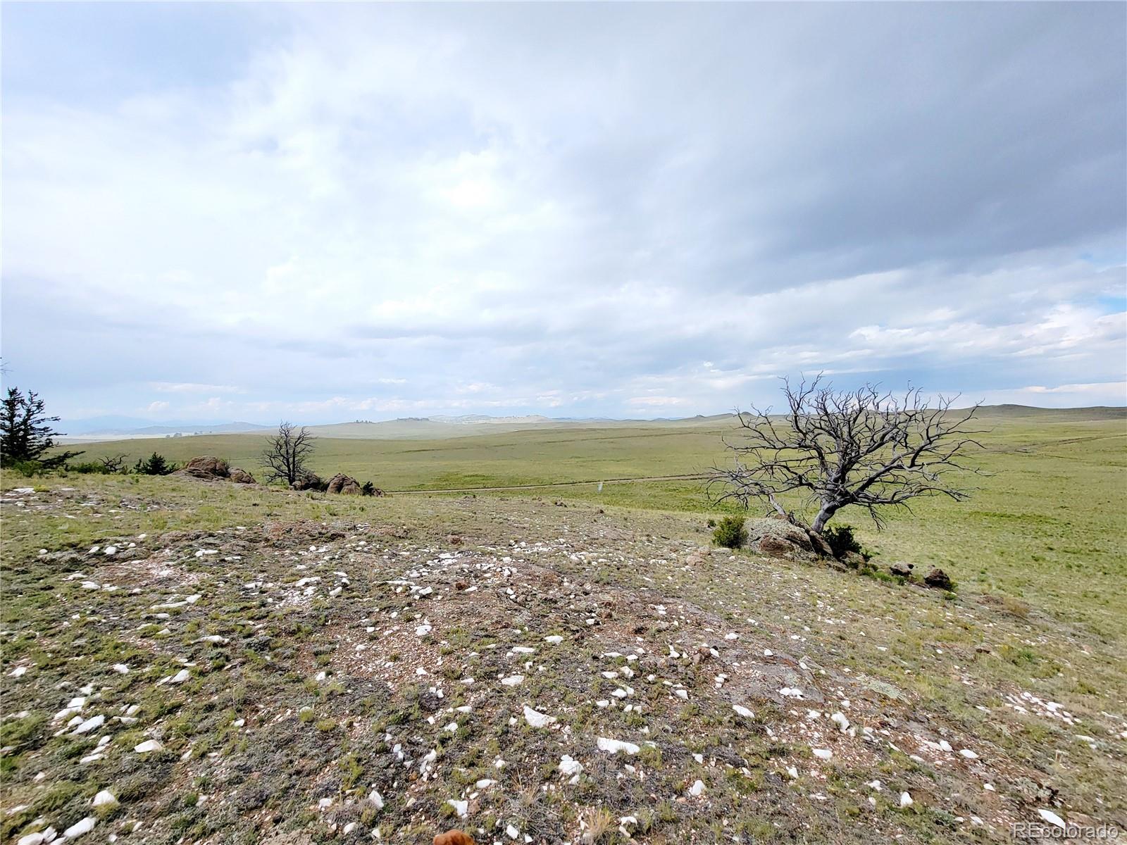 2975 Caddo Road, Hartsel, CO 80449, ,Land,For Sale,Caddo,REC5148816