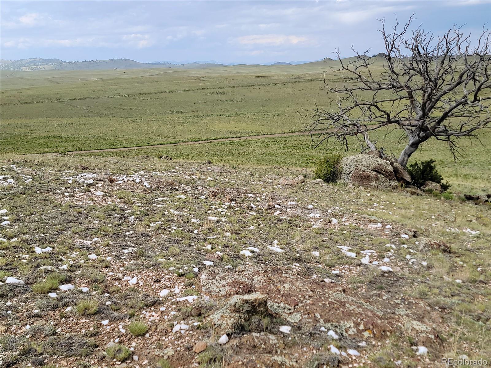 2975 Caddo Road, Hartsel, CO 80449, ,Land,For Sale,Caddo,REC5148816