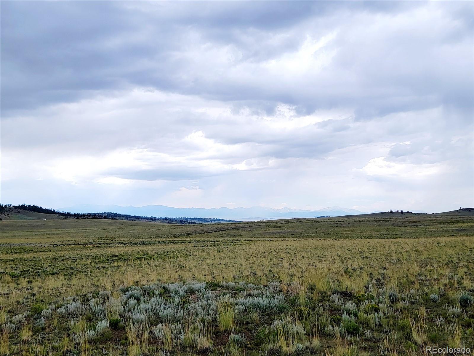 1454 Chicha Road, Hartsel, CO 80449, ,Land,For Sale,Chicha,REC2575409