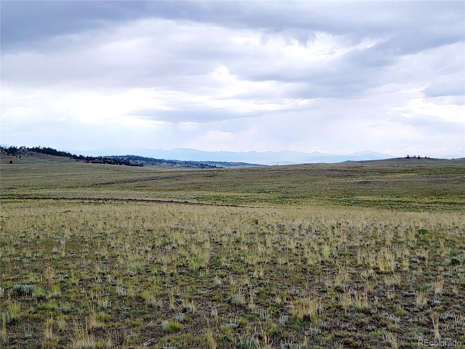 1454 Chicha Road, Hartsel, CO 80449, ,Land,For Sale,Chicha,REC2575409