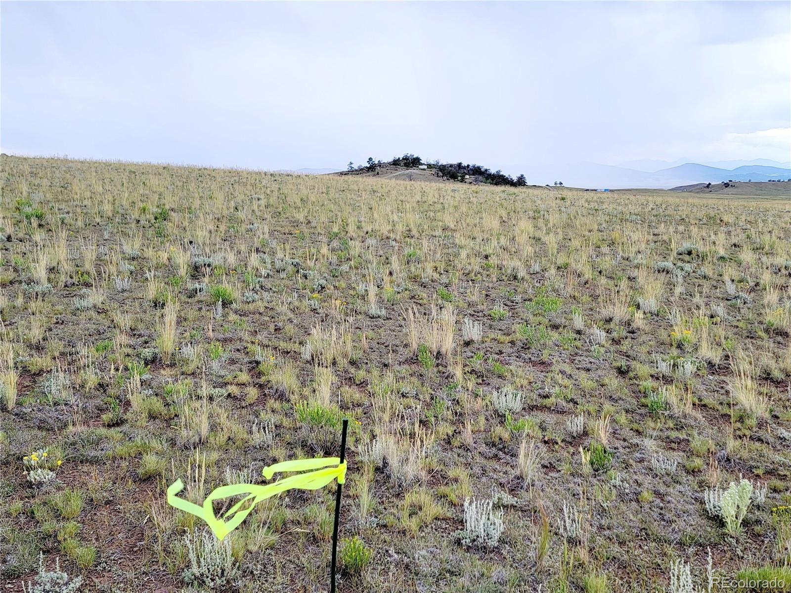 1454 Chicha Road, Hartsel, CO 80449, ,Land,For Sale,Chicha,REC2575409