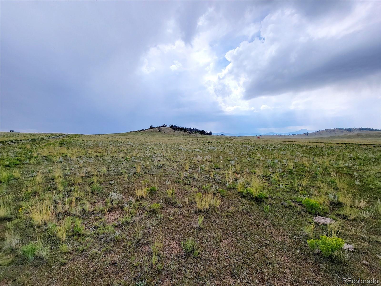1454 Chicha Road, Hartsel, CO 80449, ,Land,For Sale,Chicha,REC2575409
