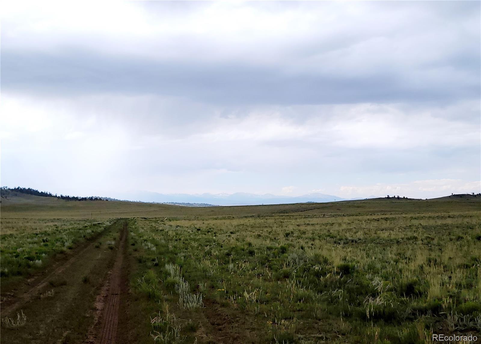 1454 Chicha Road, Hartsel, CO 80449, ,Land,For Sale,Chicha,REC2575409