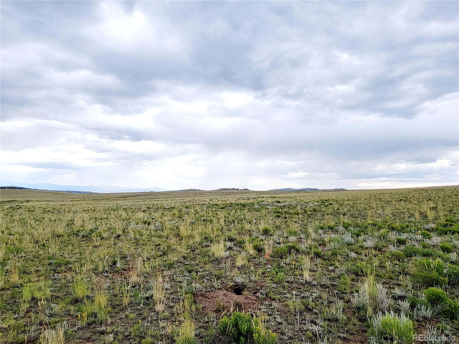 1454 Chicha Road, Hartsel, CO 80449, ,Land,For Sale,Chicha,REC2575409
