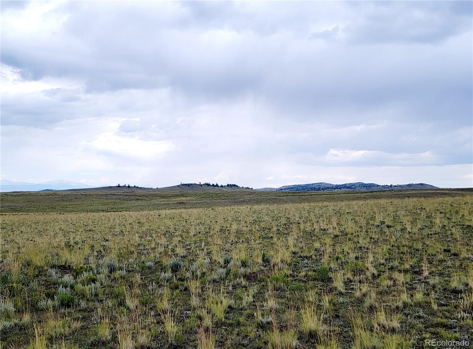 1454 Chicha Road, Hartsel, CO 80449, ,Land,For Sale,Chicha,REC2575409