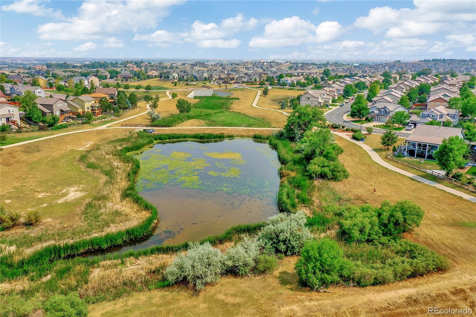 13033 Quince Court, Thornton, CO 80602, 5 Bedrooms Bedrooms, ,3 BathroomsBathrooms,Residential,For Sale,Quince,REC9448821