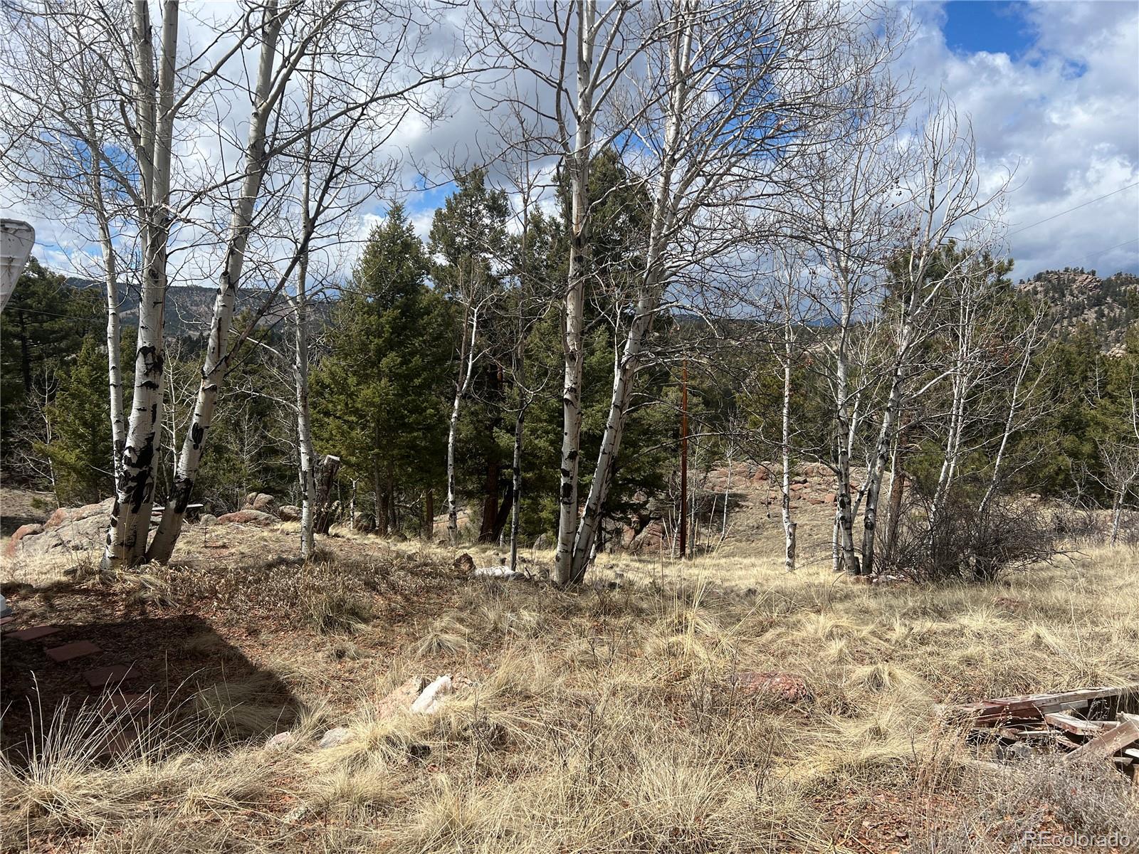 571 Ponderosa Drive, Florissant, CO 80816, 1 Bedroom Bedrooms, ,1 BathroomBathrooms,Residential,For Sale,Ponderosa,REC3701552