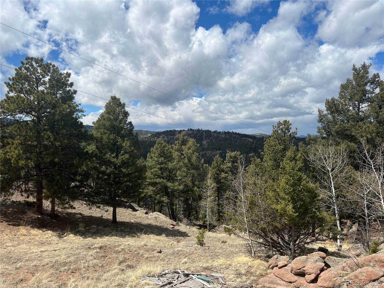 571 Ponderosa Drive, Florissant, CO 80816, 1 Bedroom Bedrooms, ,1 BathroomBathrooms,Residential,For Sale,Ponderosa,REC3701552