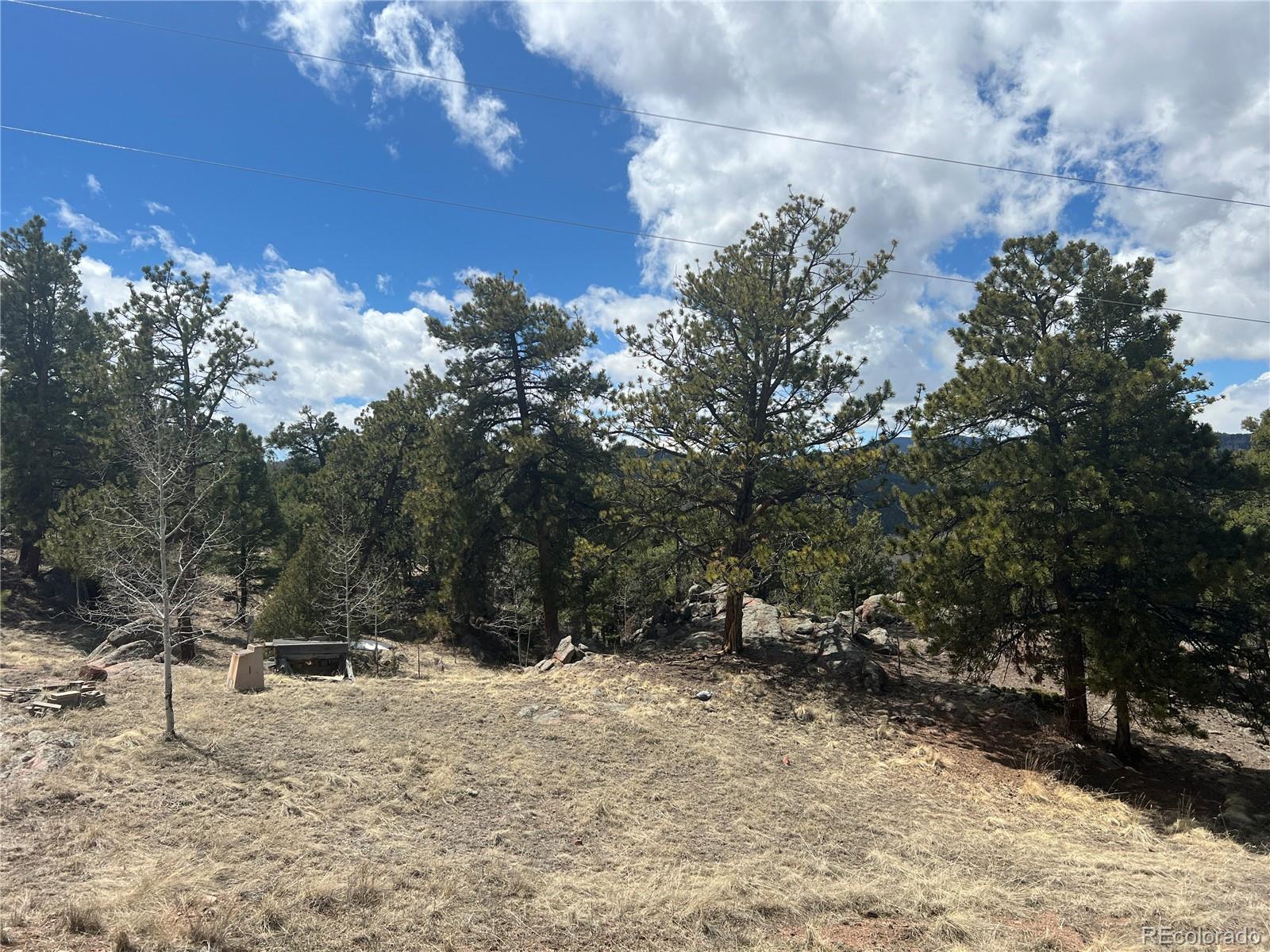 571 Ponderosa Drive, Florissant, CO 80816, 1 Bedroom Bedrooms, ,1 BathroomBathrooms,Residential,For Sale,Ponderosa,REC3701552