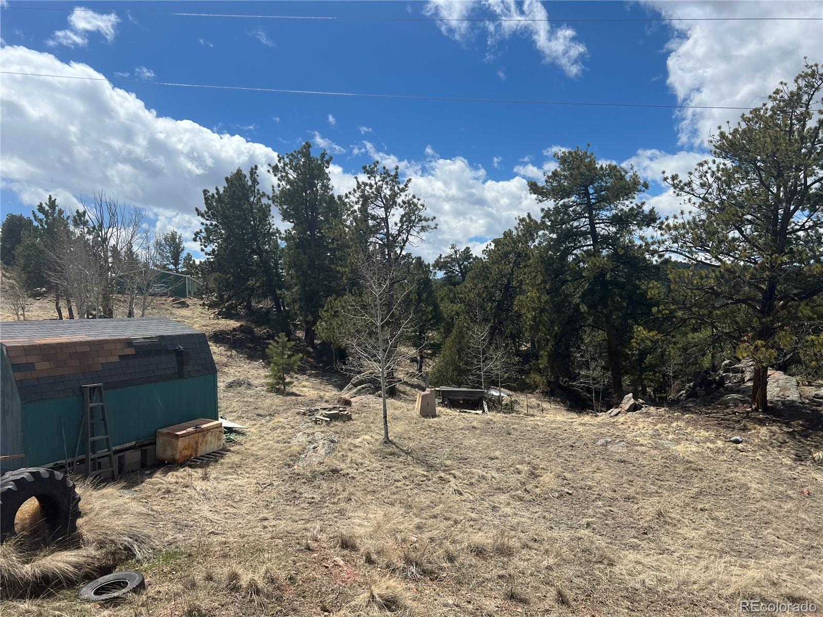 571 Ponderosa Drive, Florissant, CO 80816, 1 Bedroom Bedrooms, ,1 BathroomBathrooms,Residential,For Sale,Ponderosa,REC3701552