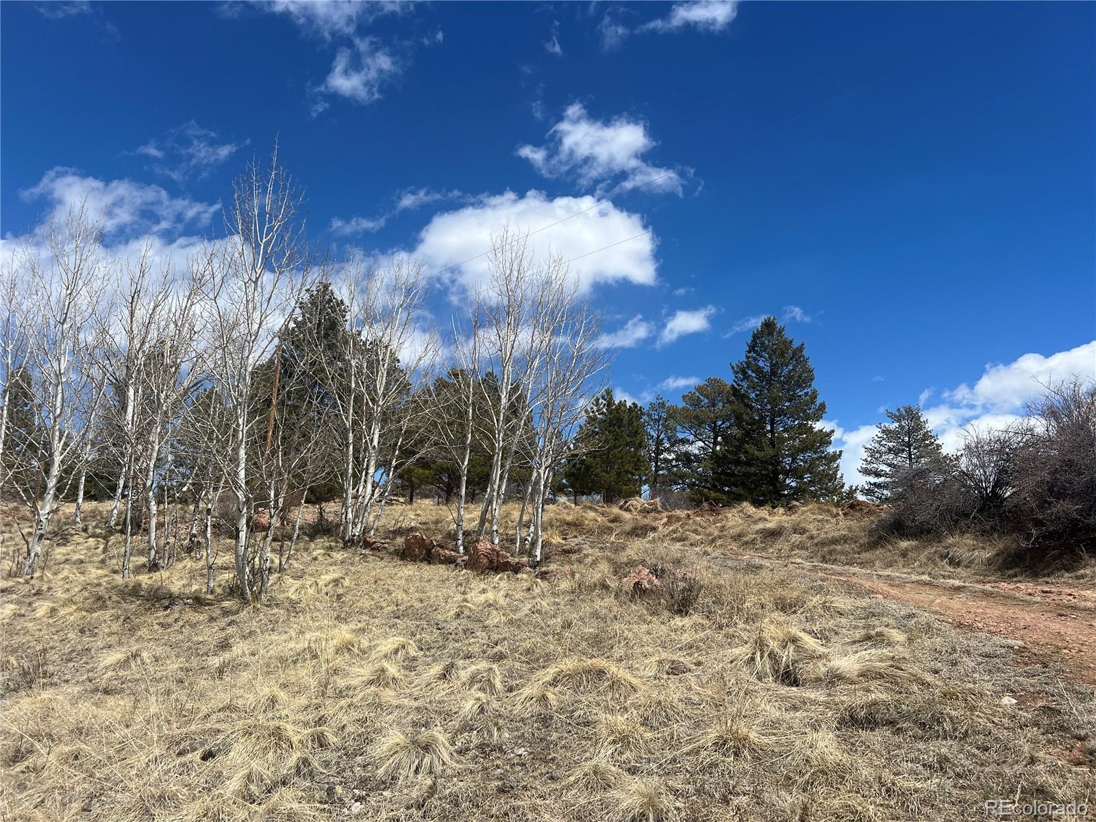 571 Ponderosa Drive, Florissant, CO 80816, 1 Bedroom Bedrooms, ,1 BathroomBathrooms,Residential,For Sale,Ponderosa,REC3701552
