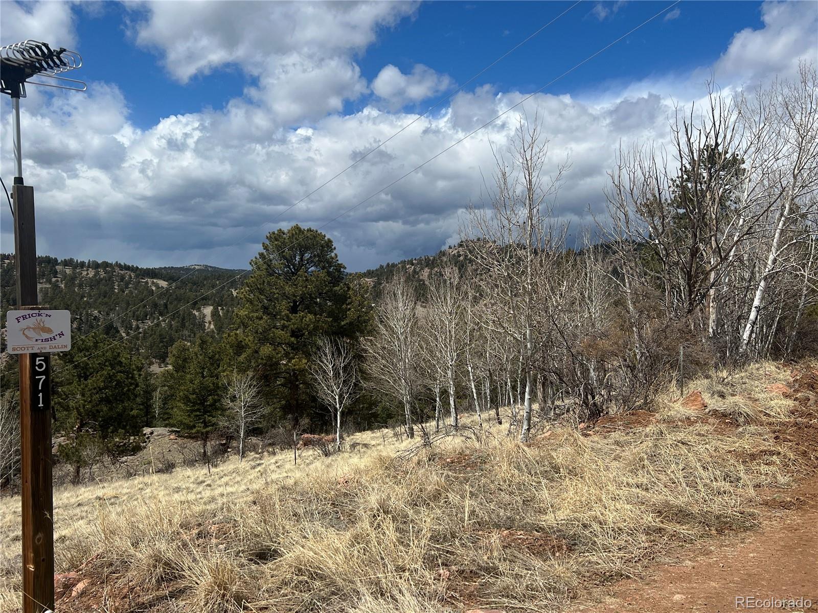 571 Ponderosa Drive, Florissant, CO 80816, 1 Bedroom Bedrooms, ,1 BathroomBathrooms,Residential,For Sale,Ponderosa,REC3701552