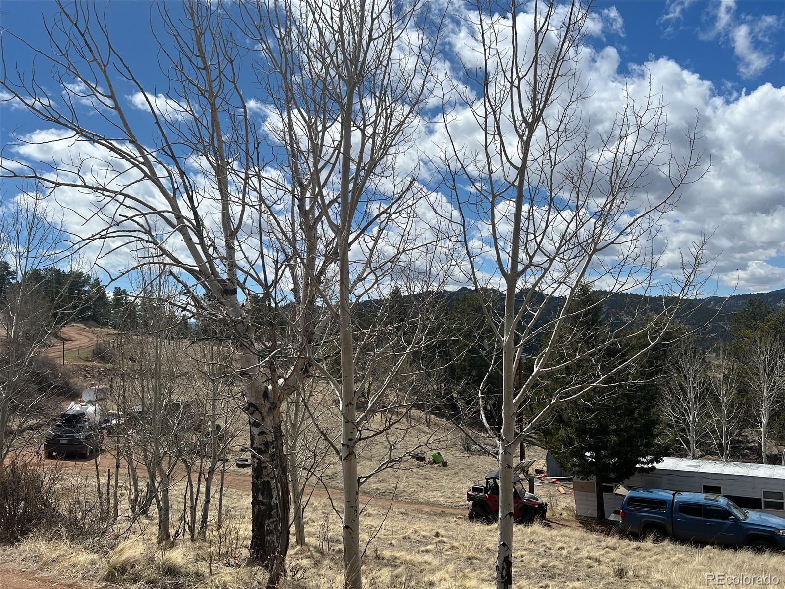 571 Ponderosa Drive, Florissant, CO 80816, 1 Bedroom Bedrooms, ,1 BathroomBathrooms,Residential,For Sale,Ponderosa,REC3701552