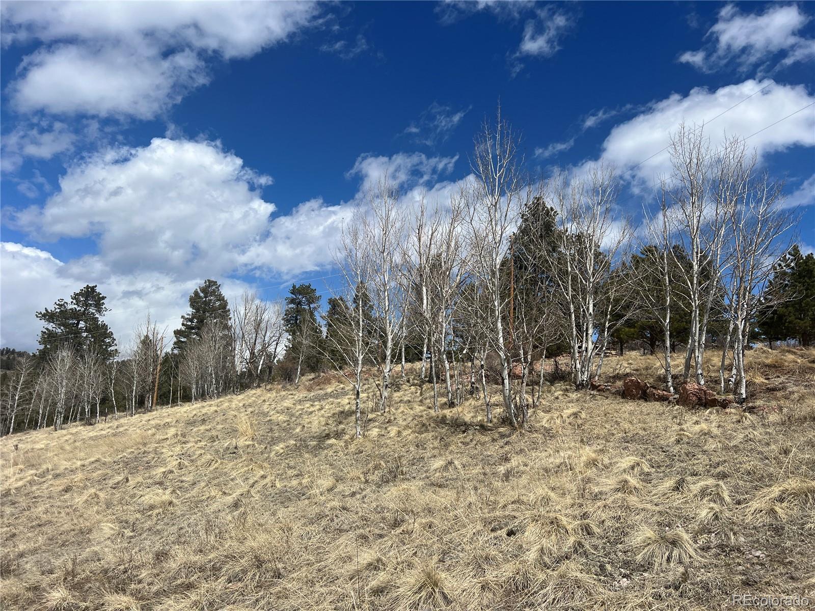 571 Ponderosa Drive, Florissant, CO 80816, 1 Bedroom Bedrooms, ,1 BathroomBathrooms,Residential,For Sale,Ponderosa,REC3701552