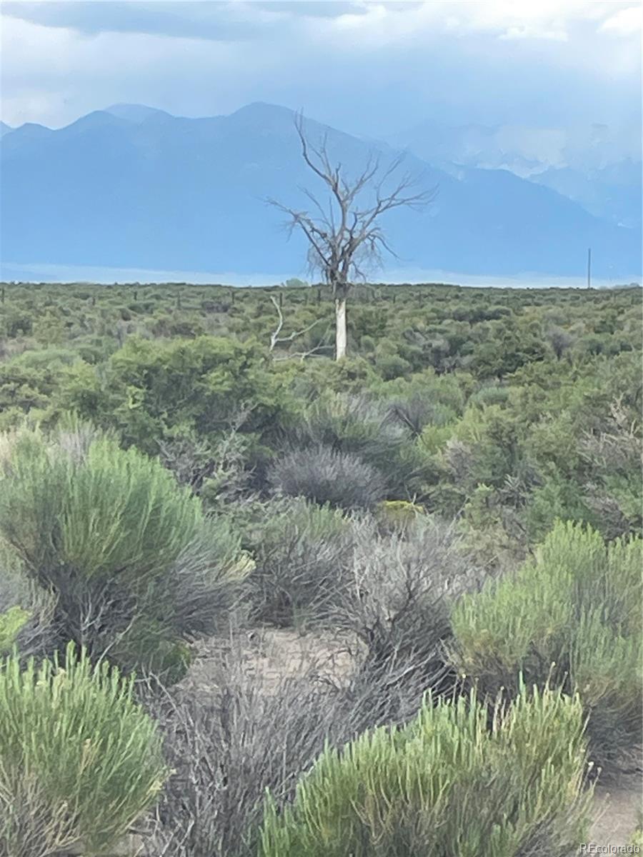 15978 Owl Avenue, Saguache, CO 81149, ,Land,For Sale,Owl,REC8466116