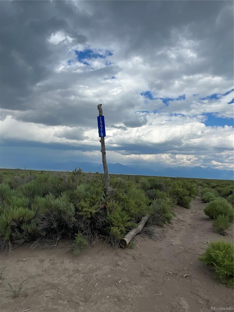 15978 Owl Avenue, Saguache, CO 81149, ,Land,For Sale,Owl,REC8466116
