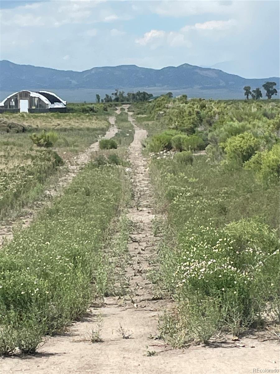 15978 Owl Avenue, Saguache, CO 81149, ,Land,For Sale,Owl,REC8466116