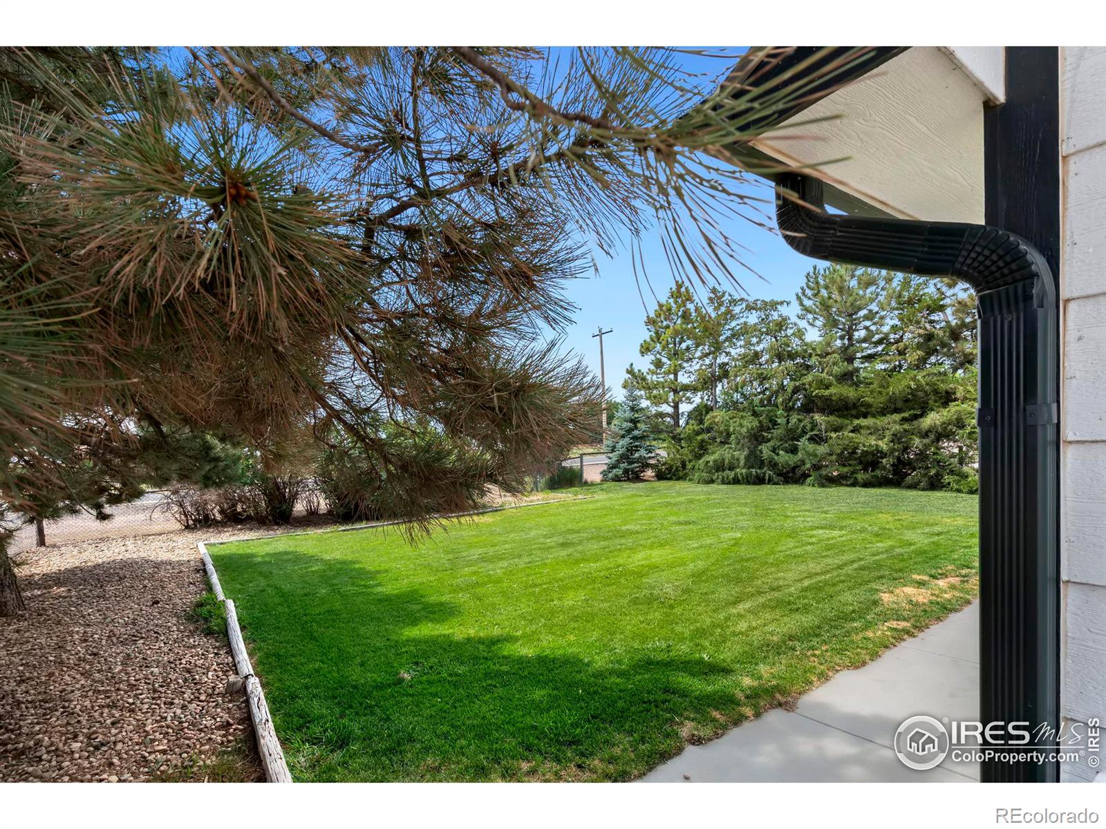 16547 County Road 86, Pierce, CO 80650, 3 Bedrooms Bedrooms, ,2 BathroomsBathrooms,Residential,For Sale,County Road 86,RECIR1014940