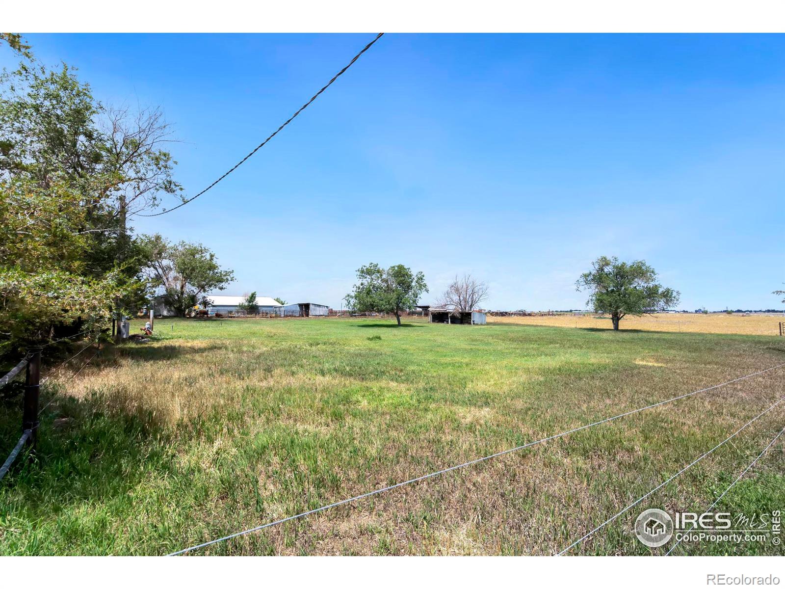 16547 County Road 86, Pierce, CO 80650, 3 Bedrooms Bedrooms, ,2 BathroomsBathrooms,Residential,For Sale,County Road 86,RECIR1014940