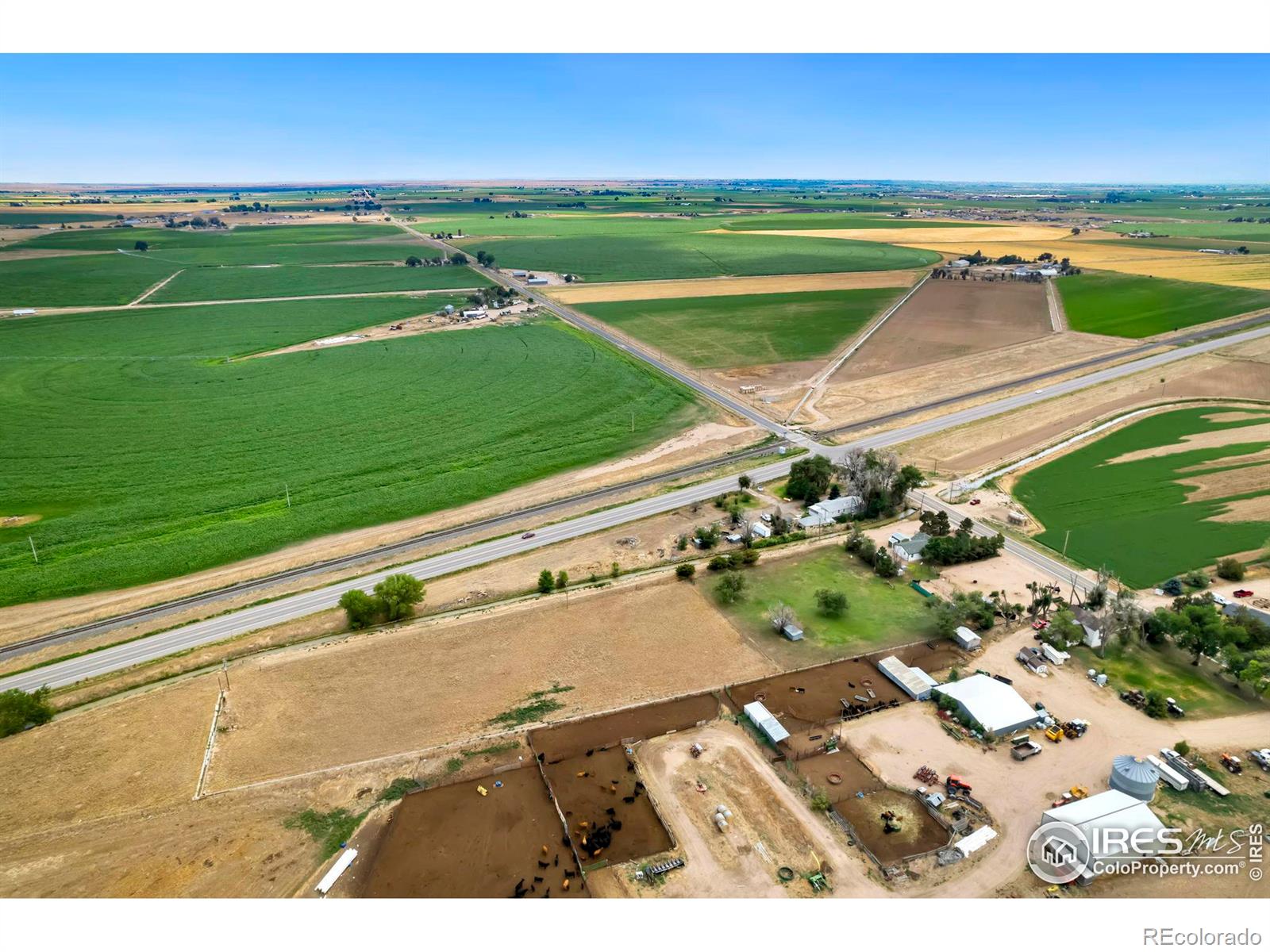 16547 County Road 86, Pierce, CO 80650, 3 Bedrooms Bedrooms, ,2 BathroomsBathrooms,Residential,For Sale,County Road 86,RECIR1014940