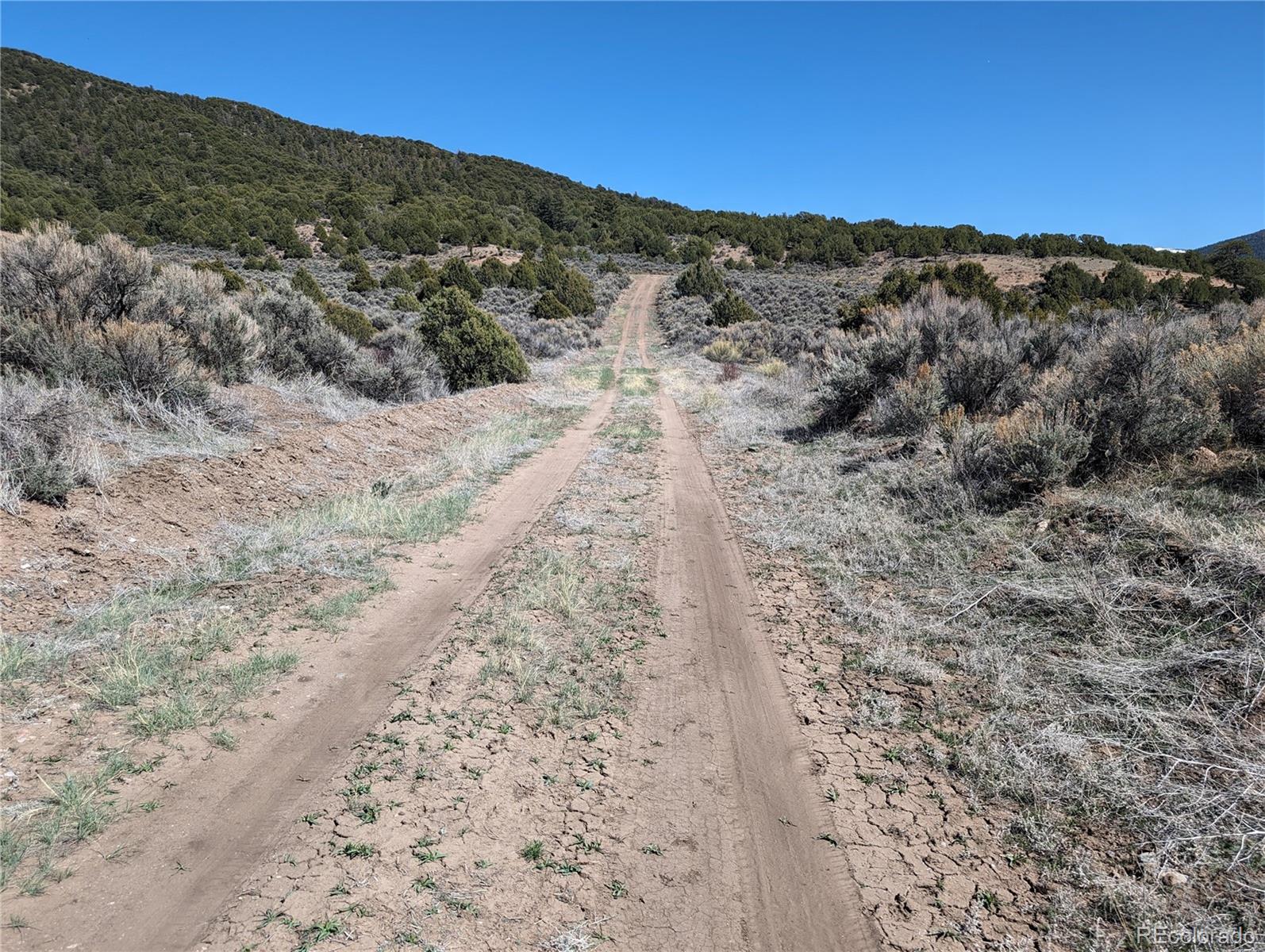 Lot 7504 Boseman, Fort Garland, CO 81133, ,Land,For Sale,Boseman,REC5378735