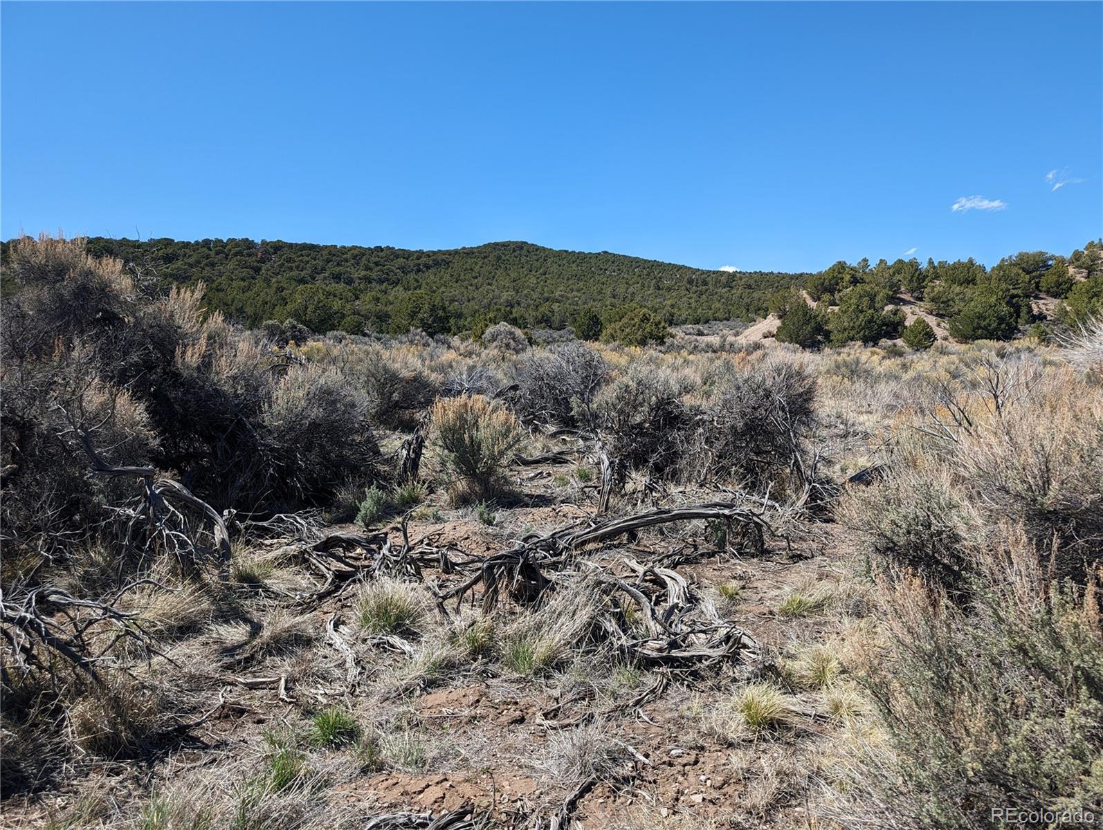 Lot 7504 Boseman, Fort Garland, CO 81133, ,Land,For Sale,Boseman,REC5378735